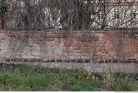 wall brick plastered overgrown 0001